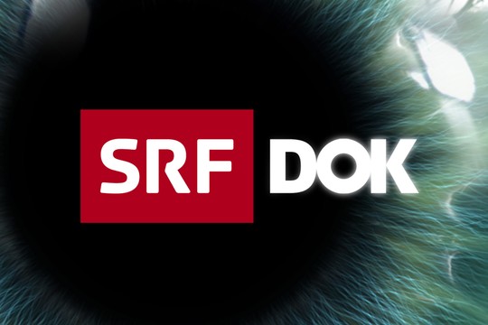 Bild von SRF-«DOK»: Fenster in spannende Welten