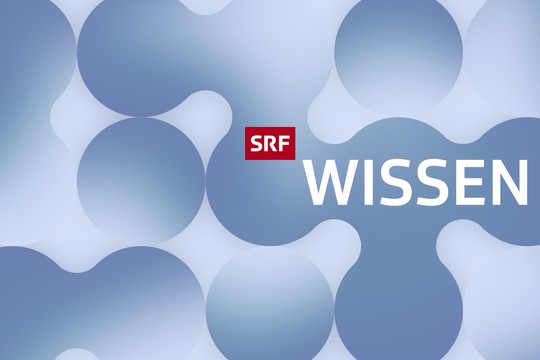 Bild von «SRF Wissen»: Zwei neue Hubs für alle Wissbegierigen