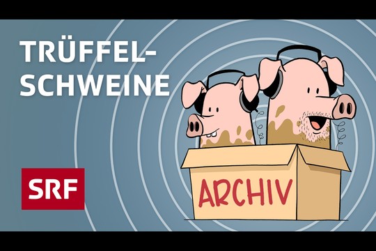 Bild von «Trüffelschweine» – Der neue SRF-Podcast