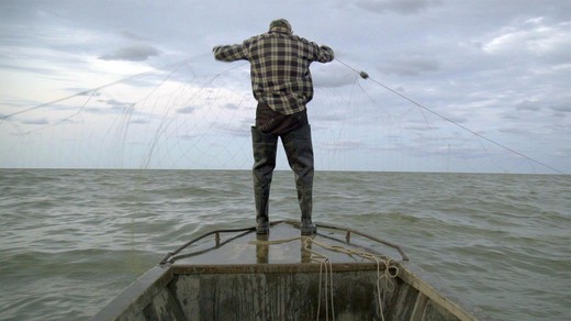 Bild von Filmpreis für die SRF-Koproduktion «Ostrov – Lost Island»