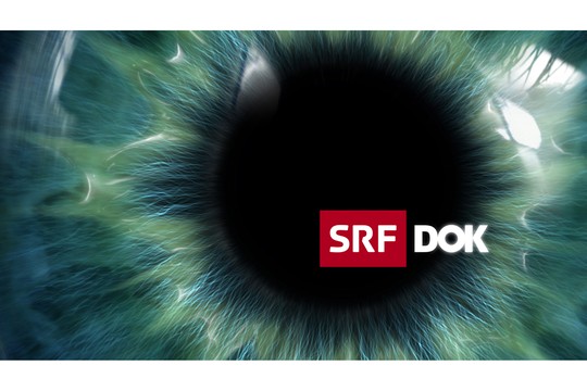 Bild von «DOK»: Im Kreuzfeuer – Wie die SRG unter Druck kam