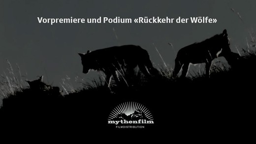 Bild von Vorpremiere und Podium «Rückkehr der Wölfe» mit der SRG Schwyz