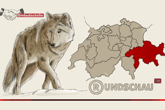 Bild von Sachgerechte «Rundschau» zum Wolf