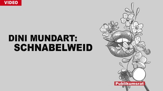 Bild von Im Fokus des Publikumsrats: «Dini Mundart – Schnabelweid»