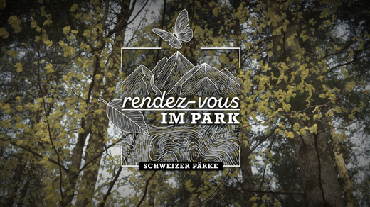 Bild von Wiedersehen mit der Dokumentationsreihe «Rendez-vous im Park»