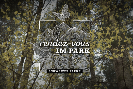 Bild von Wiedersehen mit der Dokumentationsreihe «Rendez-vous im Park»
