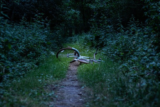 Bild von «DOK»-Sammlung: Die düstersten Verbrechen der Schweiz