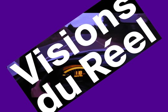 Bild von Erneute Unterstützung für das Filmfestival «Visions du Réel»