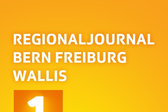 Bild von Wirtschaftsberichterstattung im Regionaljournal BE FR VS