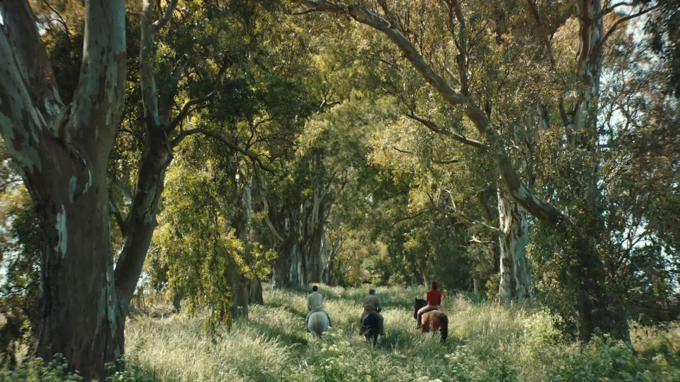 Drei Reiter reiten durch hohes Gras, links und rechts hohe Bäume